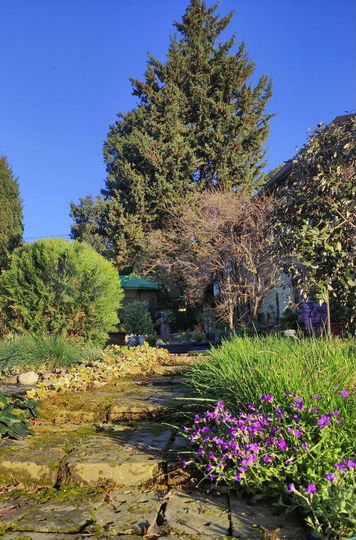 Участок 16 сот. (ИЖС)