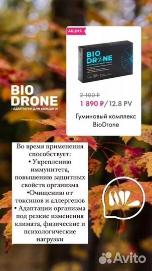 Я являюсь партнёром компании Nl