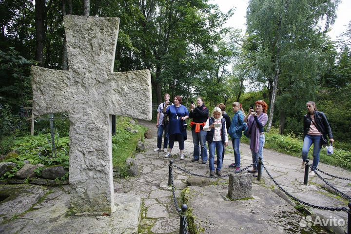 Изборск Топ-Экскурсия Древняя Русь без тоски: Избо