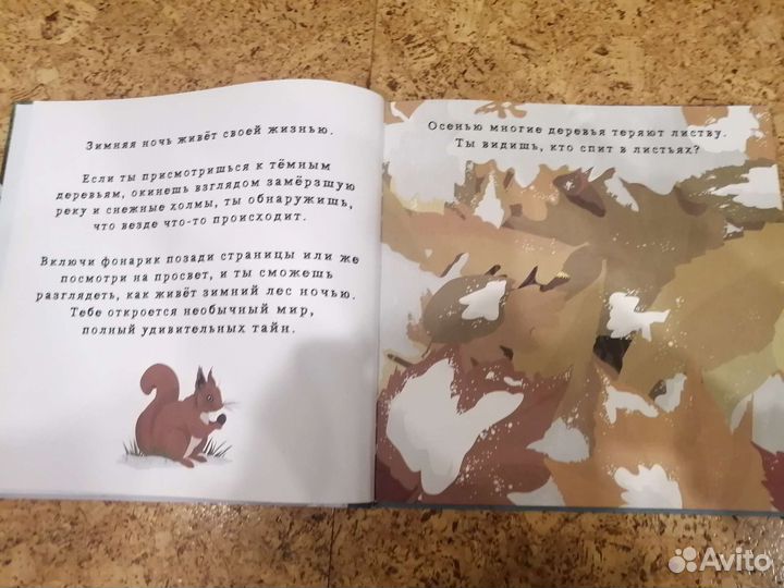 Книга Что скрывает зима