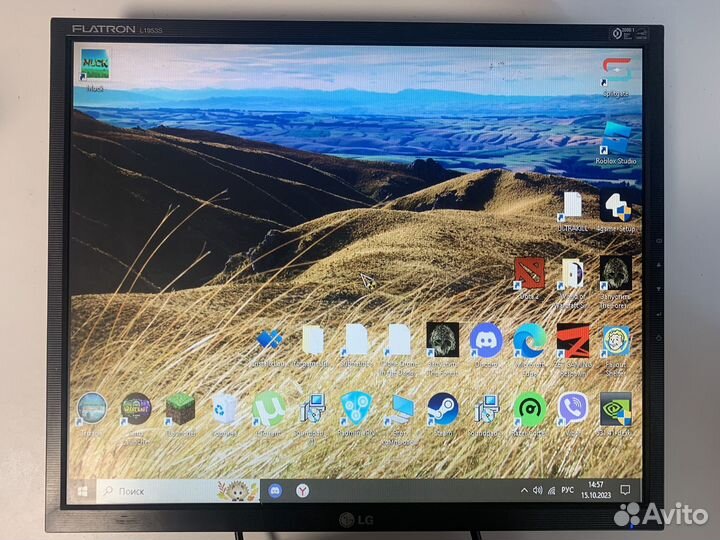 Монитор LG 19