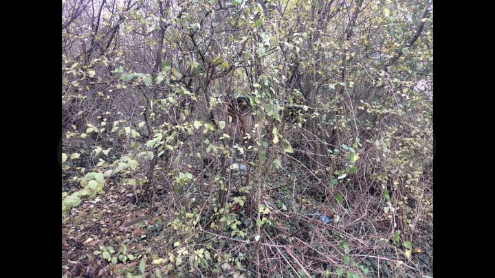 Участок 6 сот. (ИЖС)