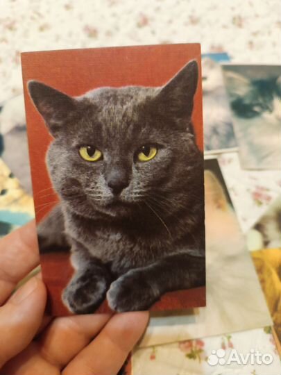 Карманные календари1990 год