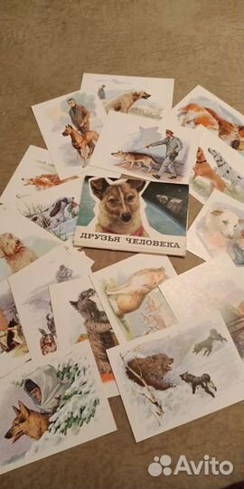 Набор открыток