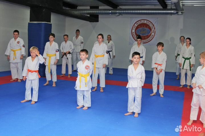 Каратэ Шотокан