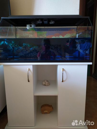 Террариум на 150 литров и тумба для него