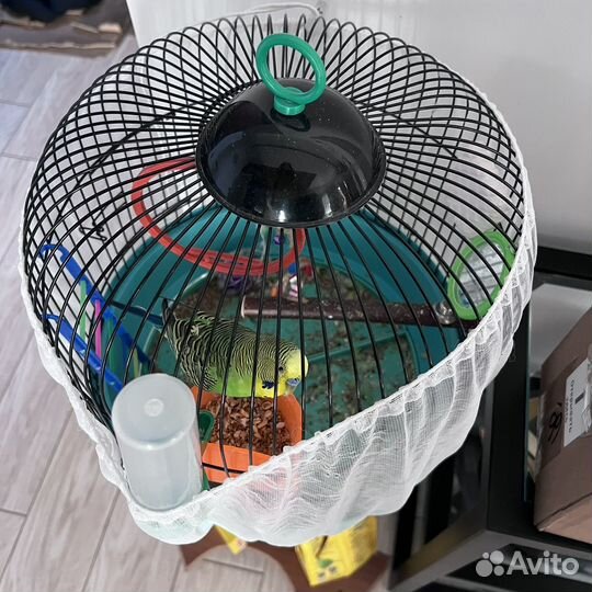 Клетка для попугая бу