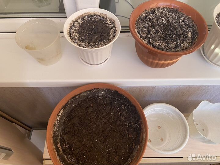 Цветочные горшки с землей