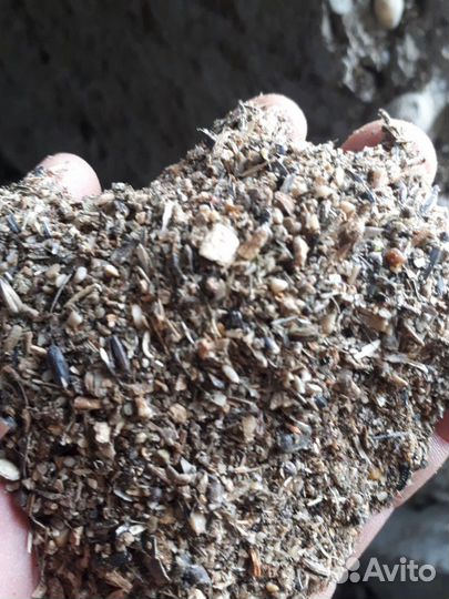 Отход для животных и рыбы зерно отходы семечек