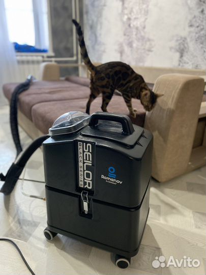 Химчистка диванов мебели