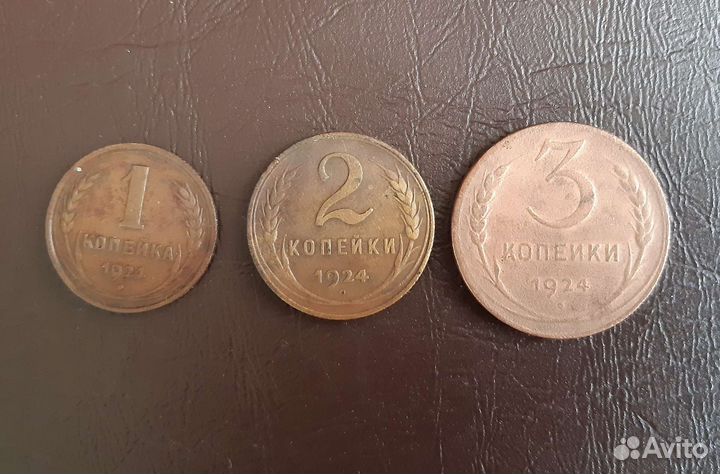 Копейки 1924 года