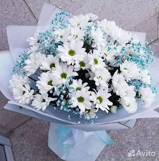 Хризантема