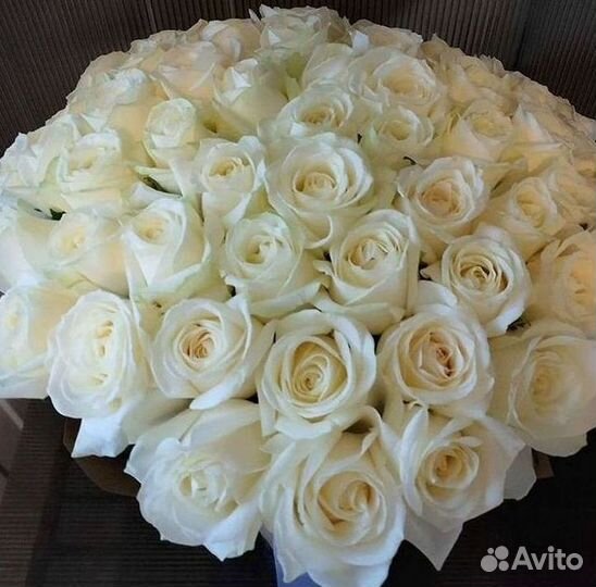 Букет роз 101 роза 51 роза