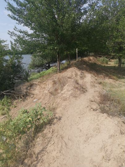 Участок 1,29 га (ИЖС)