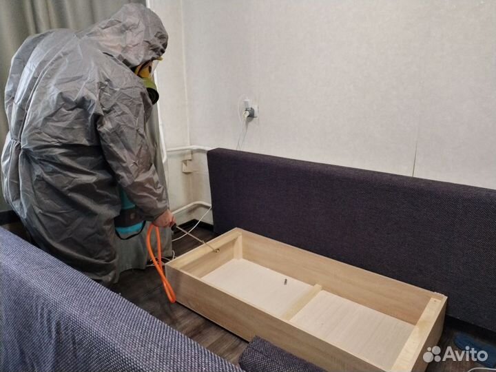 Уничтожение тараканов клопов Дезинфекция Травля