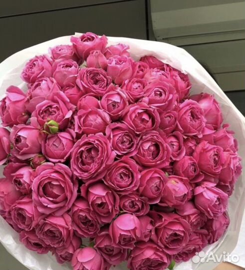 Розы Доставка