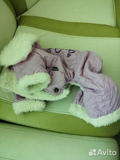 Одежда и обувь для маленьких собак