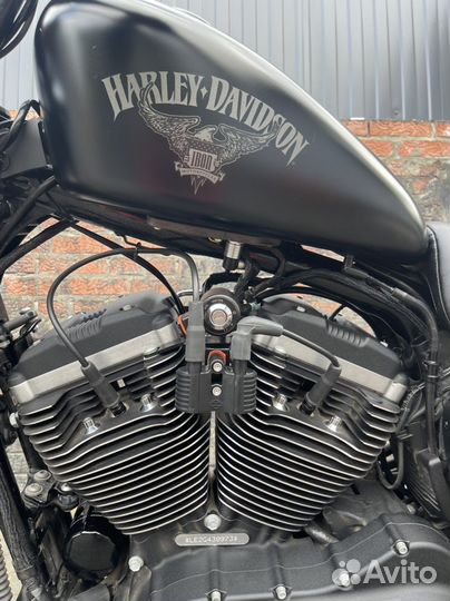 Harley davidson sportster xl883n