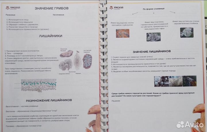 Биология Егэ. Чебышев, Рохлов, Умскул, Статград