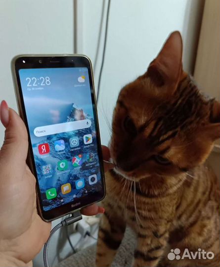 Xiaomi Redmi 7A, 2/32 ГБ