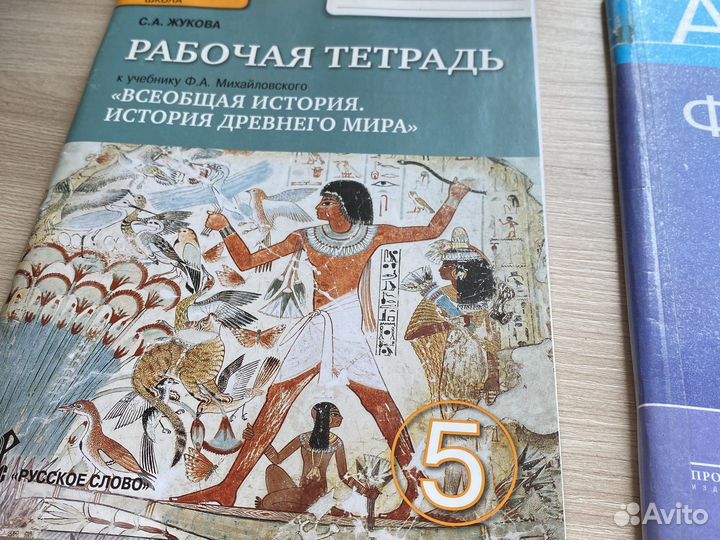 Рабочие тетради 5 класс