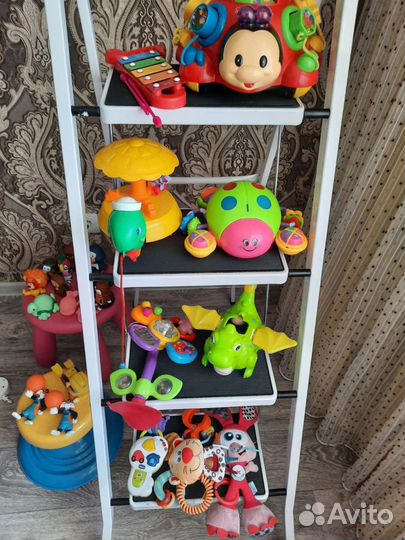 Божья коровка