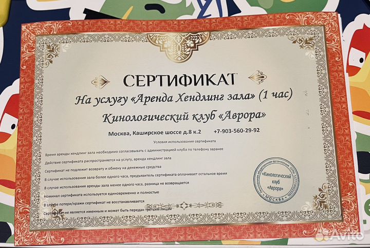 Сертификат Аренда хендлинг зала Аврора