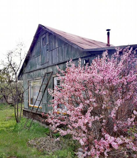 Дача 24 м² на участке 9,1 сот.