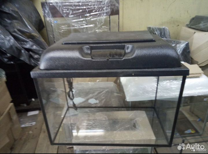 Аквариум, Черепаха с аквариумом