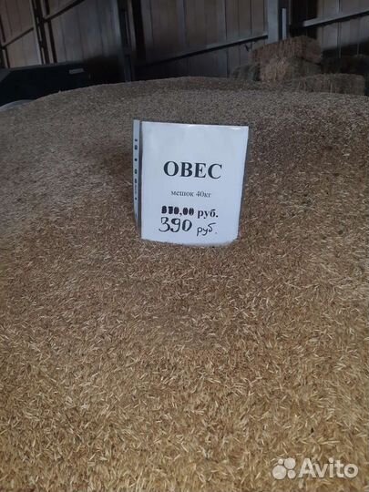 Пшеница,Ячмень,Комбикорм,Отруби, Кормовые добавки