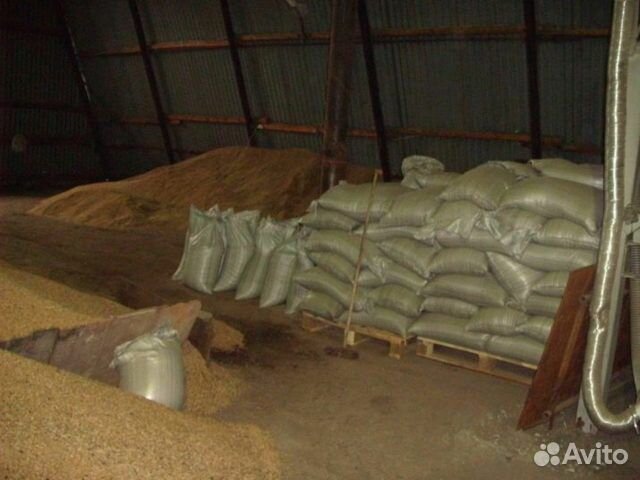 Корма для птиц