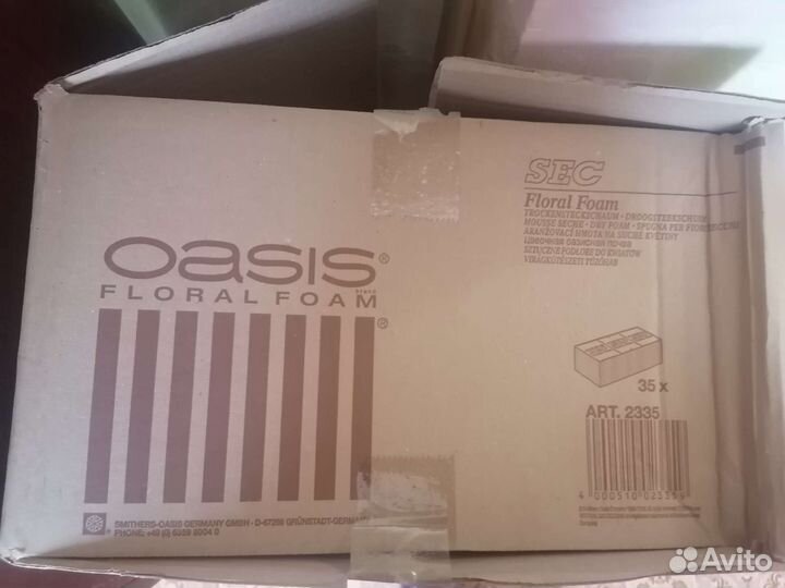 Флористический оазис