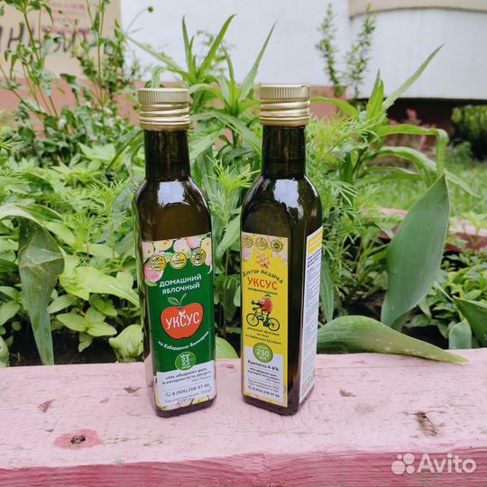 Яблочный домашний уксус