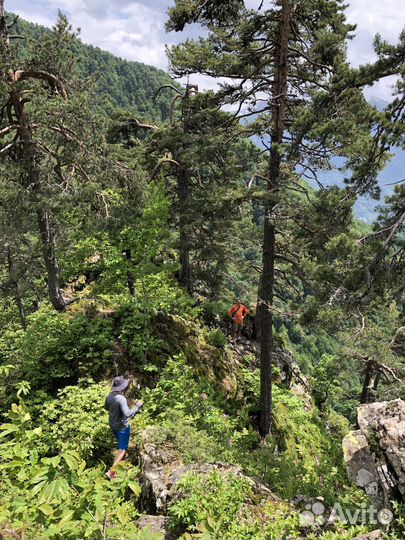 Гид, Красная поляна - Скала Сосновая
