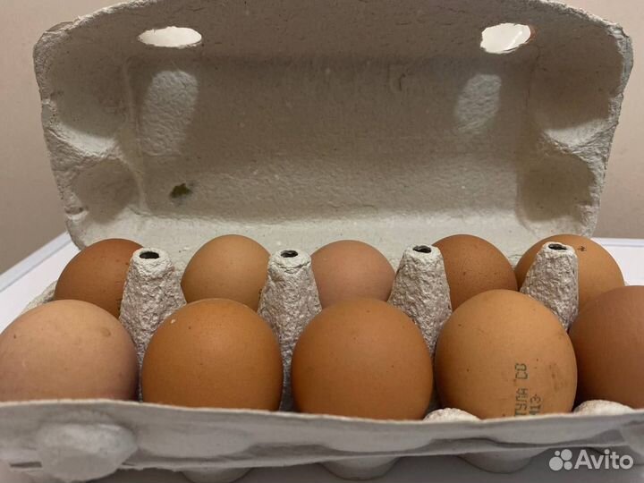 Яйцо куриное