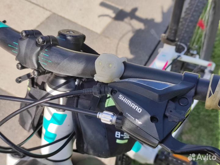 Cube Acces 29'' / Рама 17'' (2017)