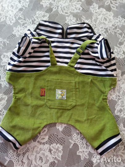 Комбинезон для мелких собак,кошек - новый