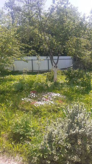 Дом 220 м² на участке 12,5 сот.