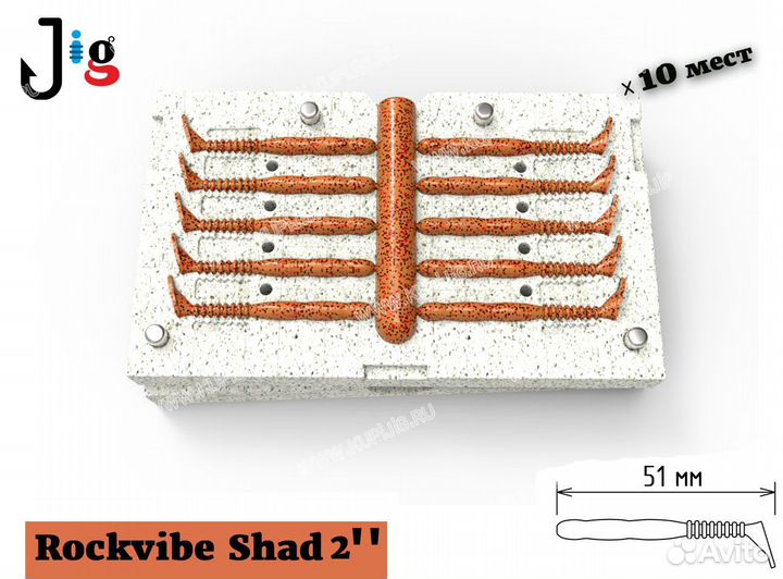 Rockvibe Shad 2