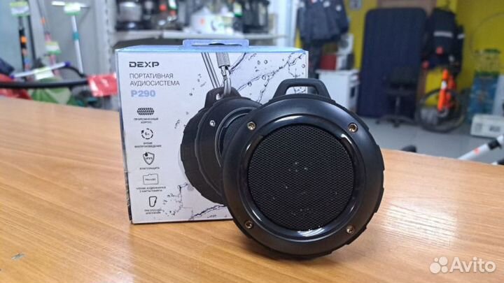 Колонка dexp P290