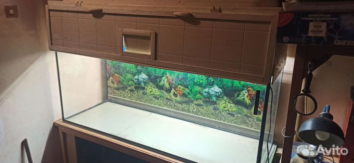 Аквариум