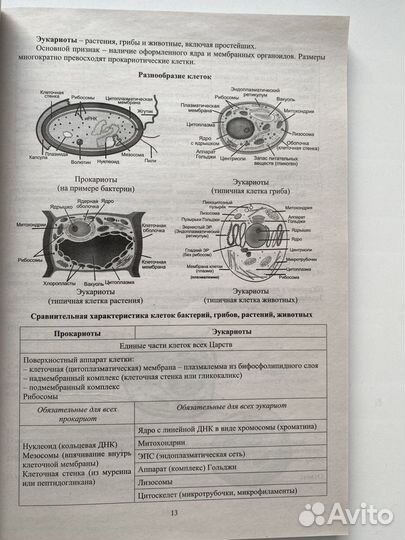 ЕГЭ биология