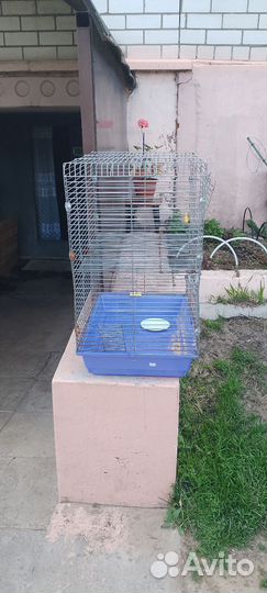Клетка для грызунов большая