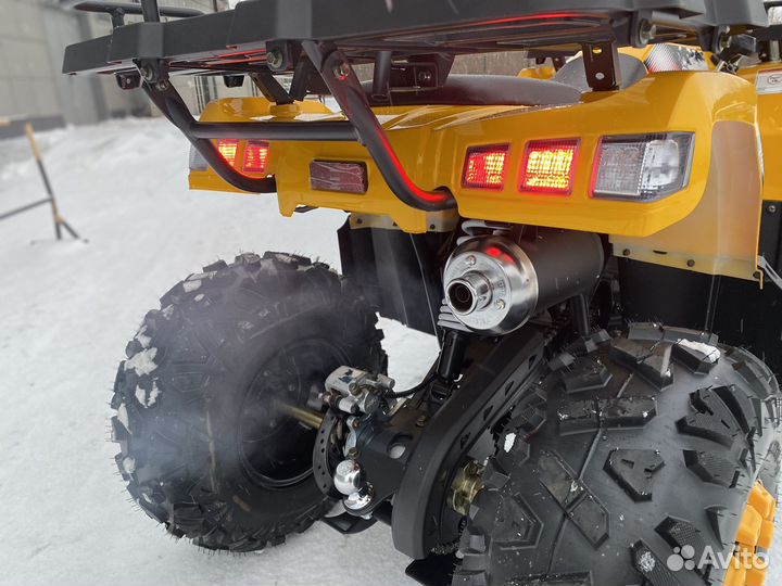 Квадроцикл Bison Warrior 200