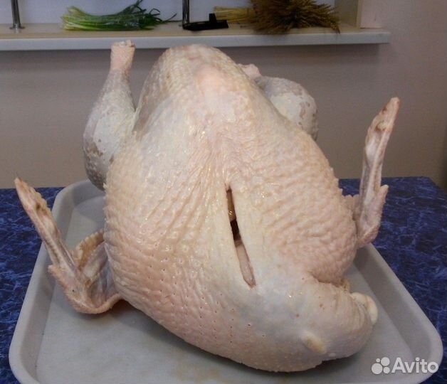 Продам мясо домашней птицы