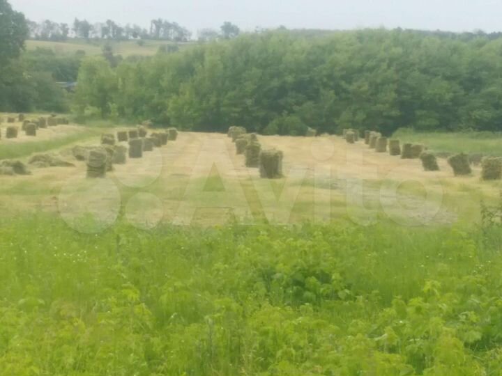 Участок 27,5 сот. (ИЖС)