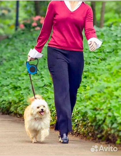 Поводок для собак