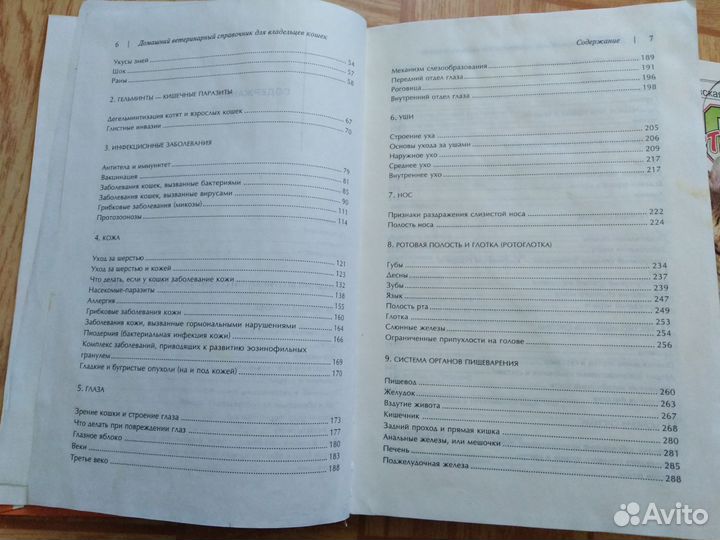 Книги про кошек