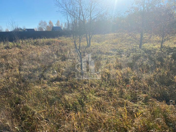 Участок 1,6 сот. (ИЖС)