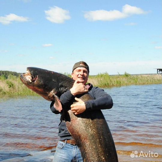 Рыбалка с гидом в Тверской области